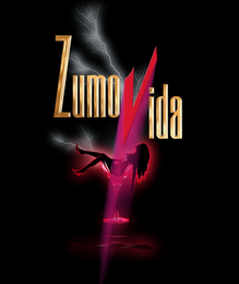ZUMO VIDA logo