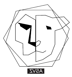 ZVSA logo