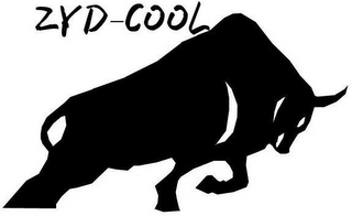 ZYD-COOL logo