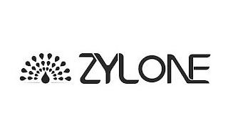 ZYLONE logo