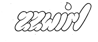 ZZWIRL logo