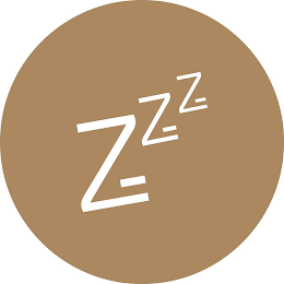 ZZZ logo