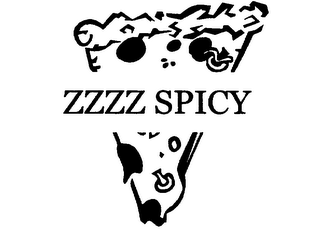 ZZZZ SPICY logo