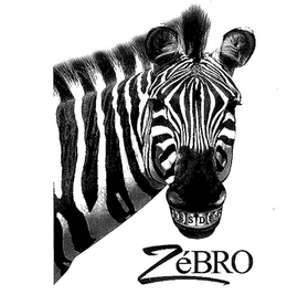 ZÉBRO RESDEN logo