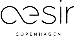 ÆSIR COPENHAGEN logo