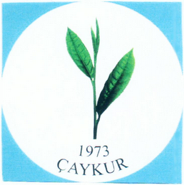 ÇAYKUR 1973 logo