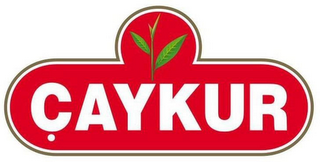 ÇAYKUR logo