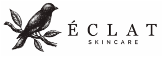 ÉCLAT SKINCARE logo