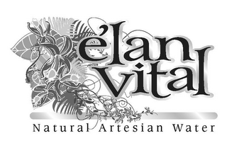 ÉLAN VITAL NATIONAL ARTESIAN WATER logo