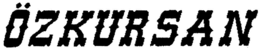ÖZKURSAN logo
