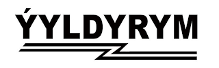 ÝYLDYRYM logo