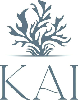 ΚΑΙ logo